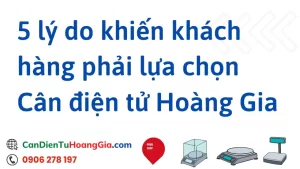 5 ly do khach hang phai mua - Cân điện tử Hoàng Gia | Uy tín 10+ năm, Uy Tín, Giá Tốt