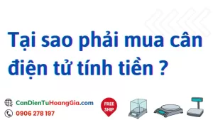 tai sao phai mua can dien tu - Cân điện tử Hoàng Gia | Uy tín 10+ năm, Uy Tín, Giá Tốt