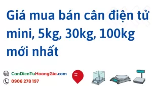 can dien tu 11 - Cân điện tử Hoàng Gia | Uy tín 10+ năm, Uy Tín, Giá Tốt