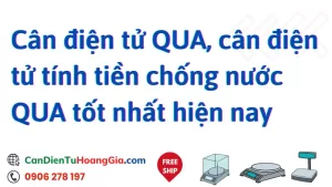 can dien tu 3 - Cân điện tử Hoàng Gia | Uy tín 10+ năm, Uy Tín, Giá Tốt
