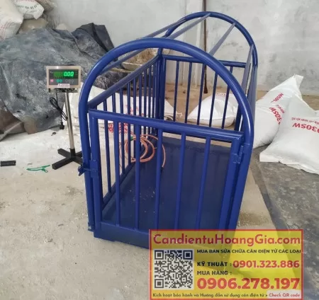 can san dien tu 54 - Cân điện tử Hoàng Gia | Uy tín 10+ năm, Uy Tín, Giá Tốt