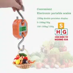 can treo dien tu 150kg 4 - Cân điện tử Hoàng Gia | Uy tín 10+ năm, Uy Tín, Giá Tốt