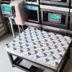 Cân bàn bi con lăn điện tử 360 độ 300kg 200kg 100kg B19S USA - Cân điện tử Hoàng Gia | Uy tín 10+ năm, Uy Tín, Giá Tốt can ban bi con lan 3 - Cân điện tử Hoàng Gia | Uy tín 10+ năm, Uy Tín, Giá Tốt