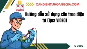 21 - Cân điện tử Hoàng Gia | Uy tín 10+ năm, Uy Tín, Giá Tốt