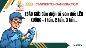 24 - Cân điện tử Hoàng Gia | Uy tín 10+ năm, Uy Tín, Giá Tốt