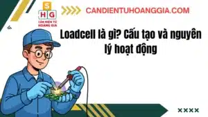 26 - Cân điện tử Hoàng Gia | Uy tín 10+ năm, Uy Tín, Giá Tốt
