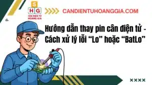 3 - Cân điện tử Hoàng Gia | Uy tín 10+ năm, Uy Tín, Giá Tốt