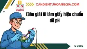 30 - Cân điện tử Hoàng Gia | Uy tín 10+ năm, Uy Tín, Giá Tốt