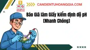31 - Cân điện tử Hoàng Gia | Uy tín 10+ năm, Uy Tín, Giá Tốt