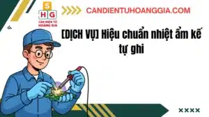 32 - Cân điện tử Hoàng Gia | Uy tín 10+ năm, Uy Tín, Giá Tốt