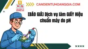34 - Cân điện tử Hoàng Gia | Uy tín 10+ năm, Uy Tín, Giá Tốt
