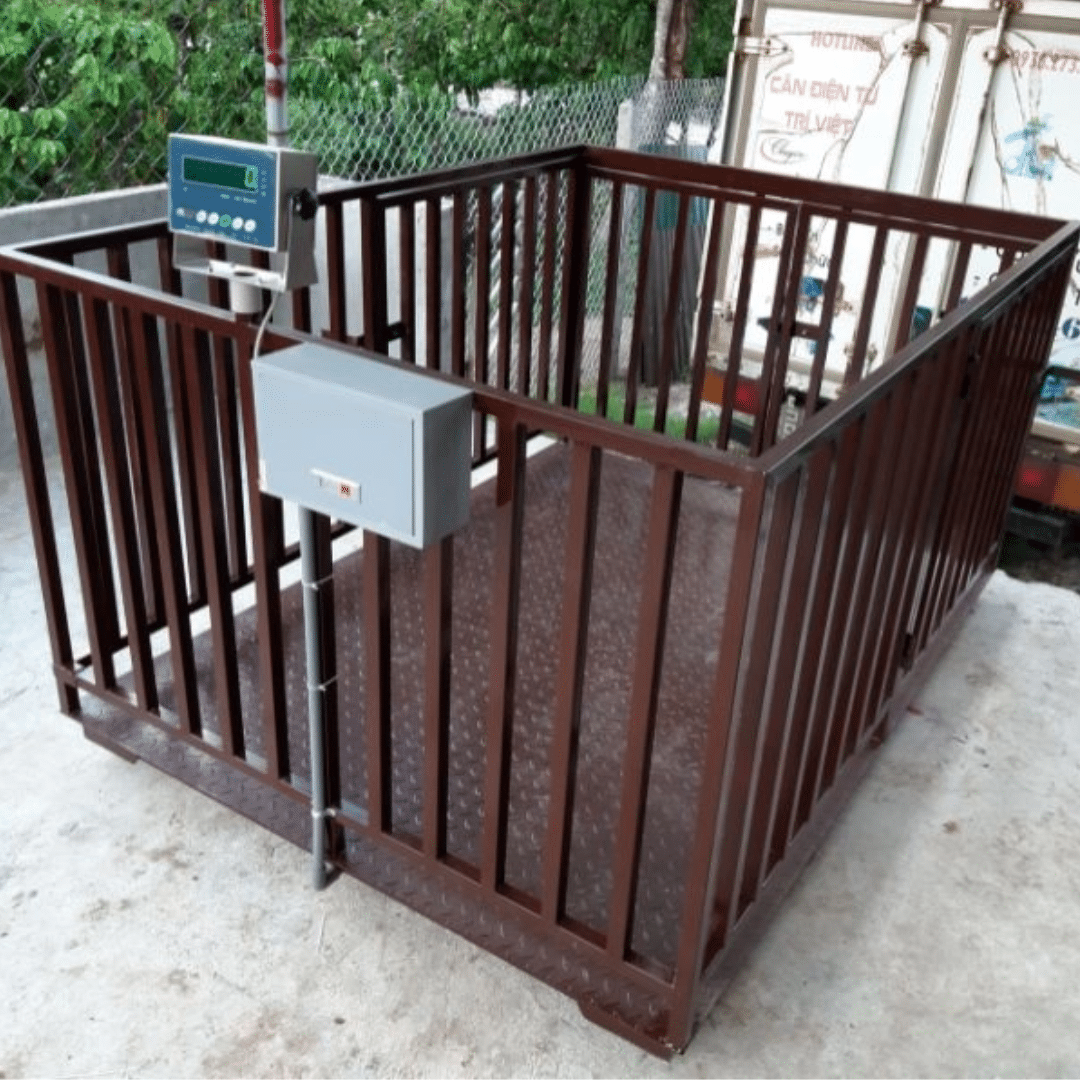 Cân bò điện tử Cân Sàn 1m5 x 2m 2 tấn, 3 tấn - B19S Amcell USA - Cân điện tử Hoàng Gia | Uy tín 10+ năm, Uy Tín, Giá Tốt cân bò điện tử cân sàn 1m5x2m b19s amcell usa