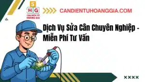 Ban sao cua Xanh duong Xanh la va Vang Anh ghep Cau hoi Am nhac Ban thuyet trinh - Cân điện tử Hoàng Gia | Uy tín 10+ năm, Uy Tín, Giá Tốt