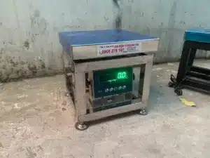 IMG 0079 - Cân điện tử Hoàng Gia | Uy tín 10+ năm, Uy Tín, Giá Tốt