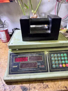 z7982170311652 8748ea029a0fb399c7aff8a26c73ef34 - Cân điện tử Hoàng Gia | Uy tín 10+ năm, Uy Tín, Giá Tốt