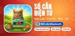 anh dai dien bai viet - Cân điện tử Hoàng Gia | Uy tín 10+ năm, Uy Tín, Giá Tốt